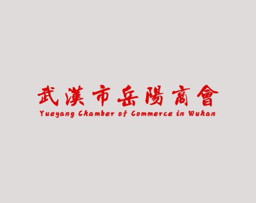 武漢市岳陽商會打造全新網站
