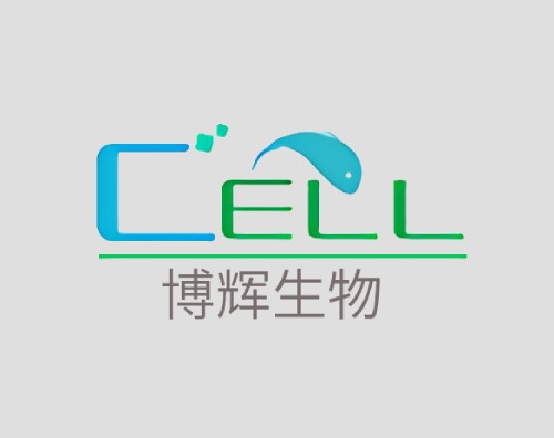 博輝生物打造高端響應式官網(wǎng)